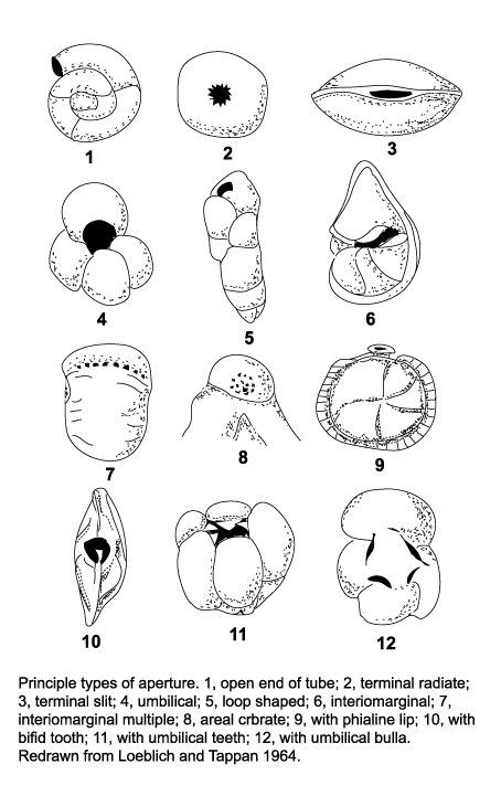  diagram showing principle aperture styles  click to view larger version